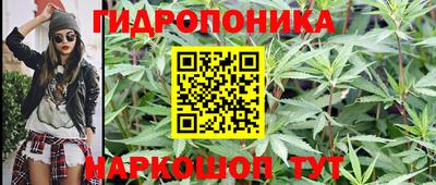 ALPHA PVP Лесосибирск