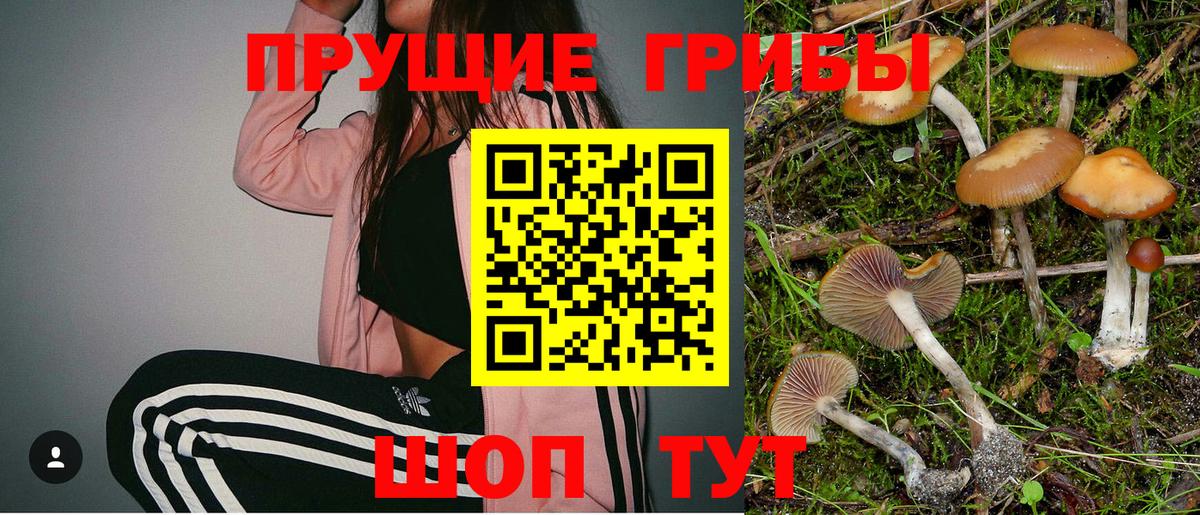 Псилоцибиновые грибы Psilocybe  Вход с VPN  как найти наркотики  Фролово 